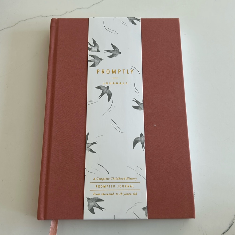 Promptly journal